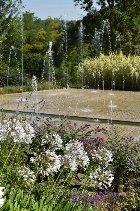 fleurs, fontaine (jeu d’eau)