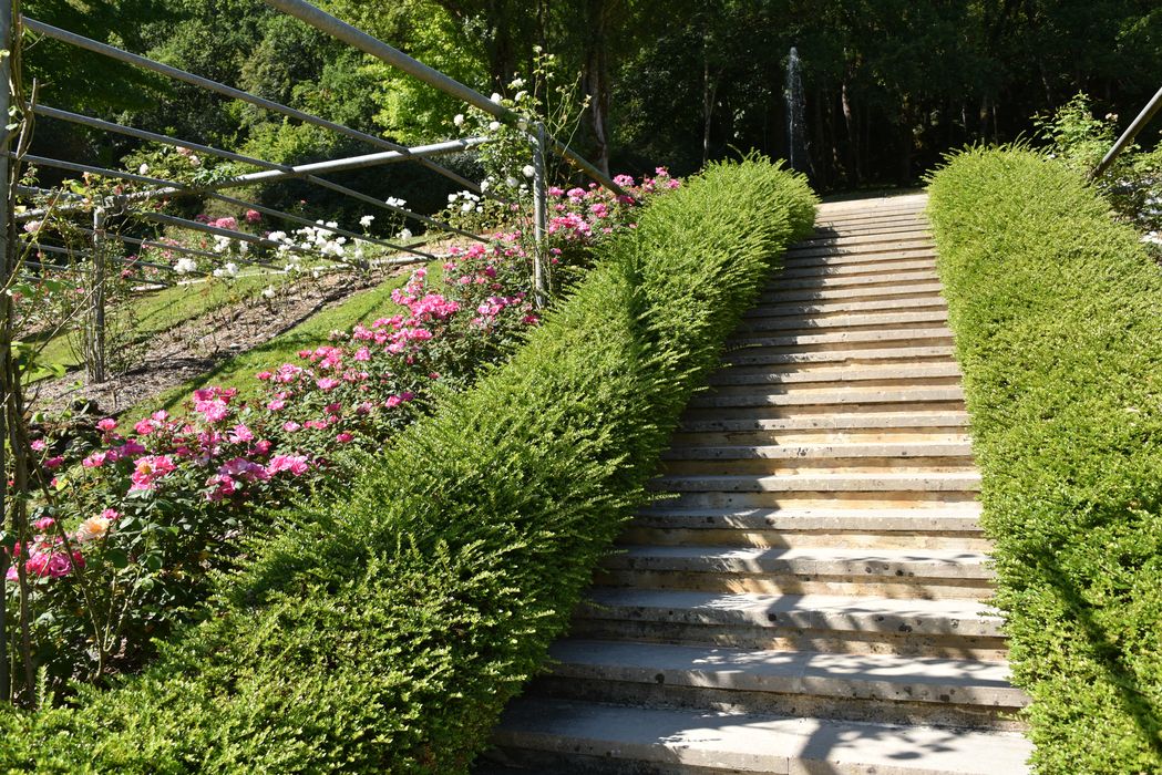 escalier, rosiers