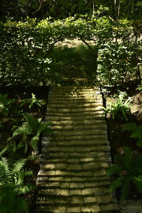 cascatelle, (jeu d’eau)