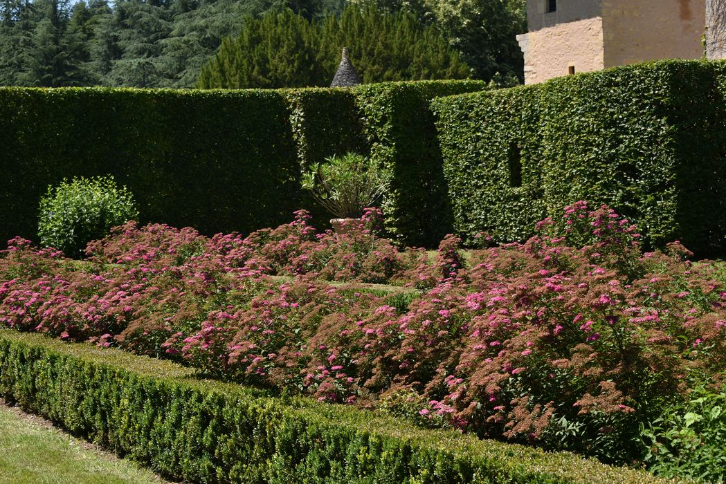 broderies (art topiaire), détail