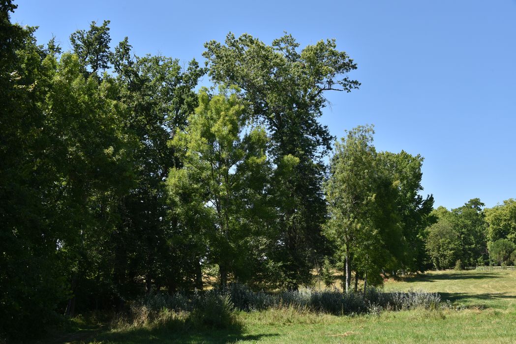 vue du bosquet