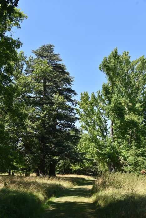 chemin du bosquet