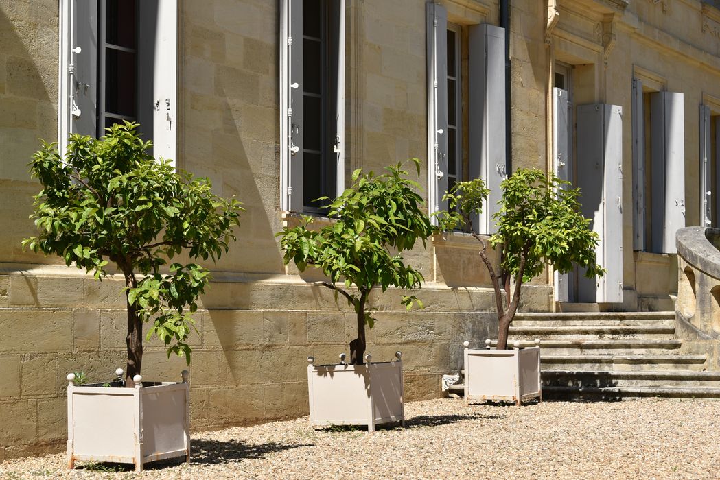 pot de plantes 