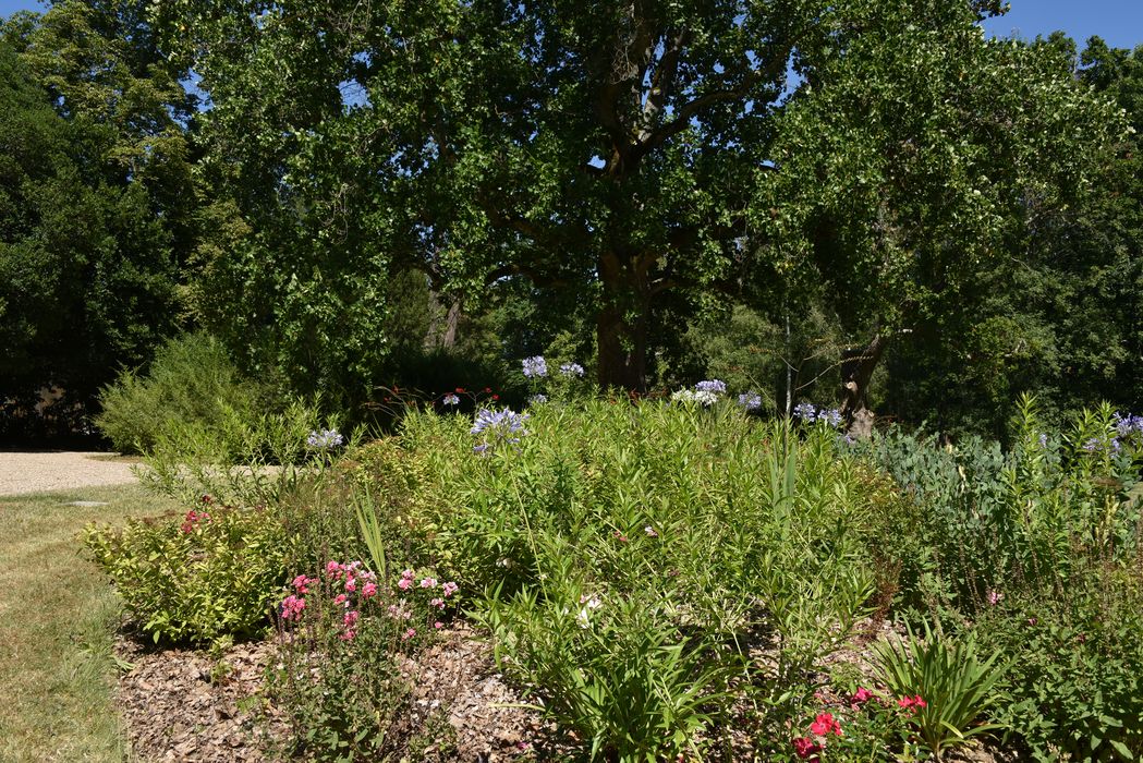 massif fleuri