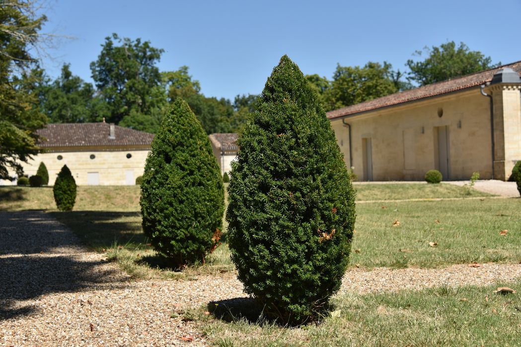 arbres (art topiaire)