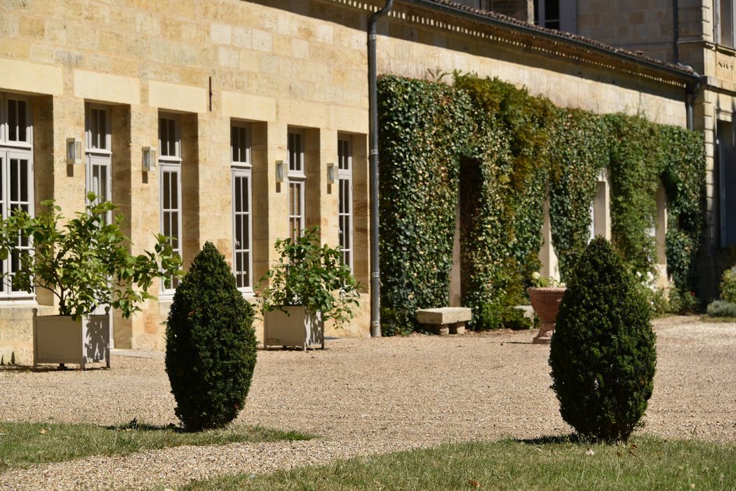 arbres (art topiaire)