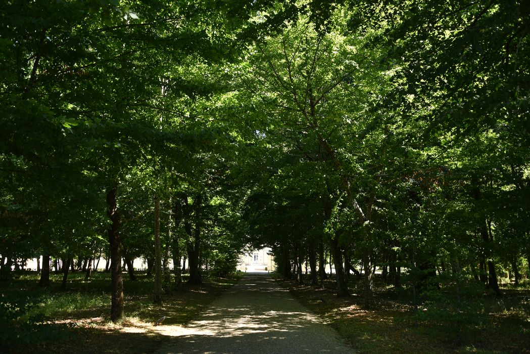 allée arborée