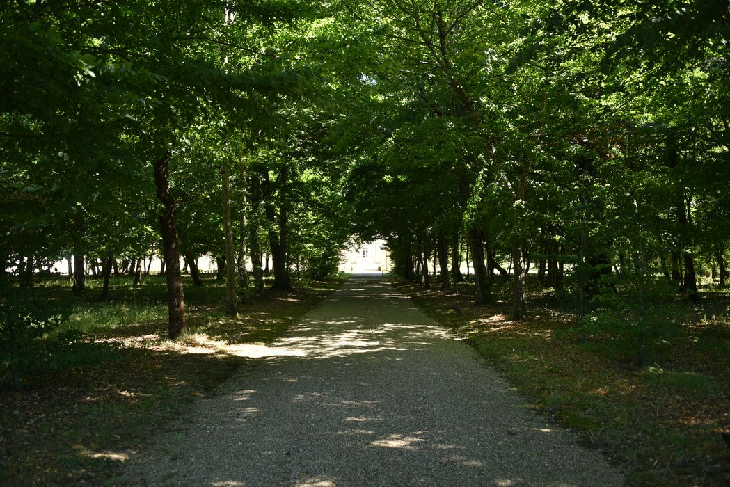 allée arborée
