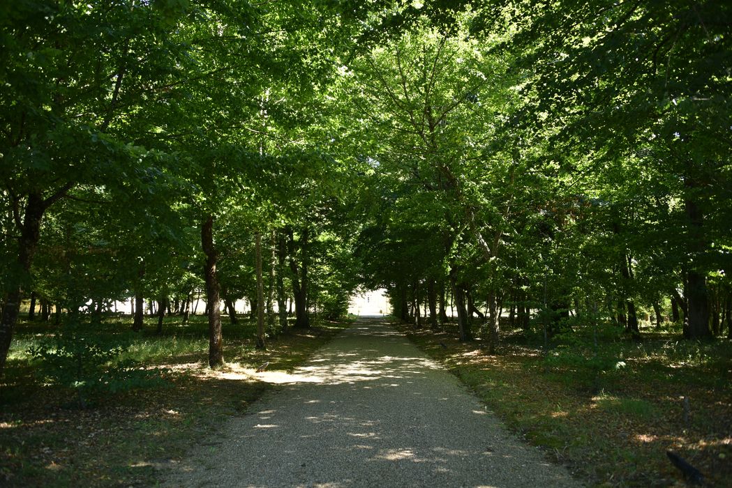 allée arborée