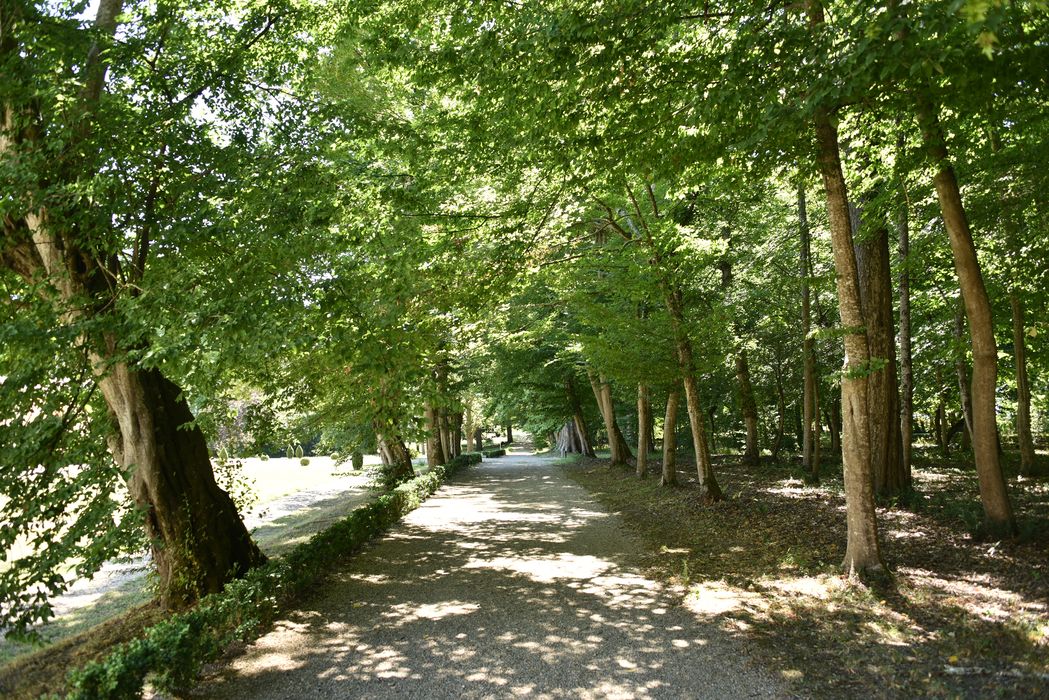 allée arborée