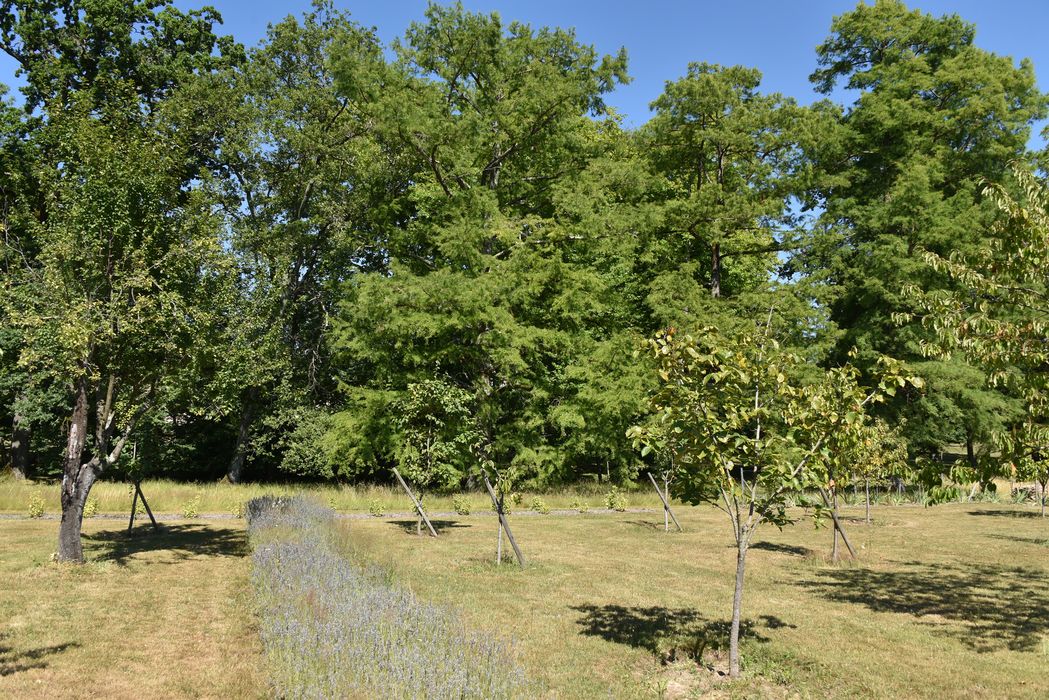 arbres fruitiers