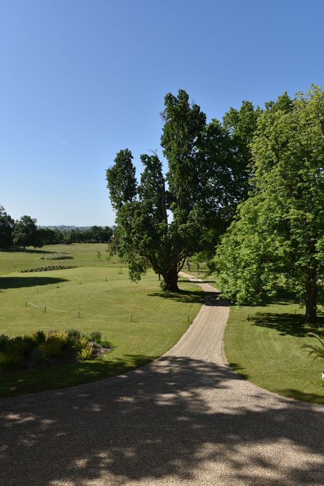chemin bosquet