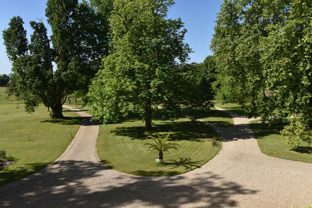 chemins bosquet