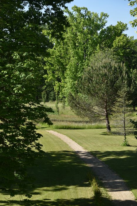 chemins bosquet