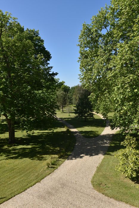 chemins bosquet