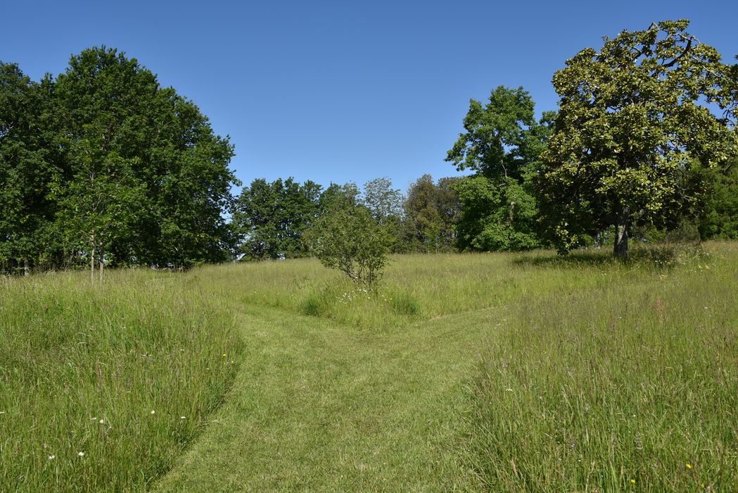chemins à biodiversité