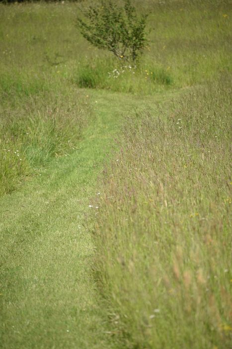 chemins à biodiversité