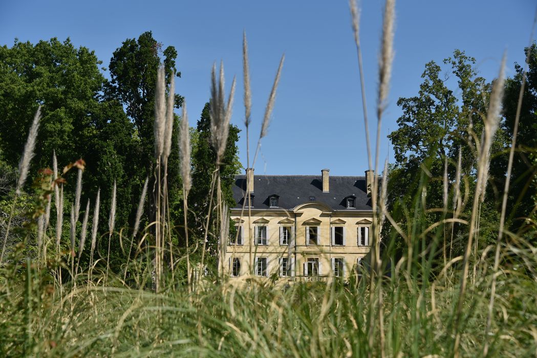 plante, détail