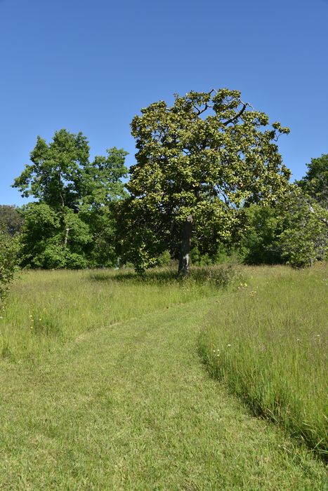 chemins à biodiversité