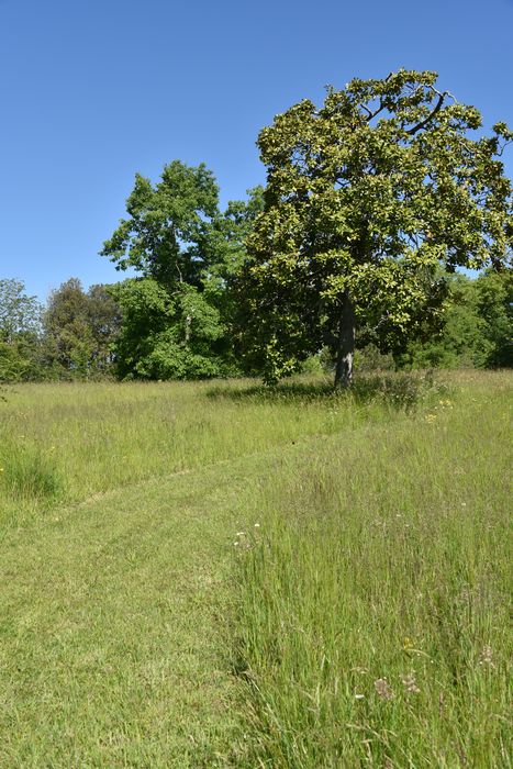 chemins à biodiversité