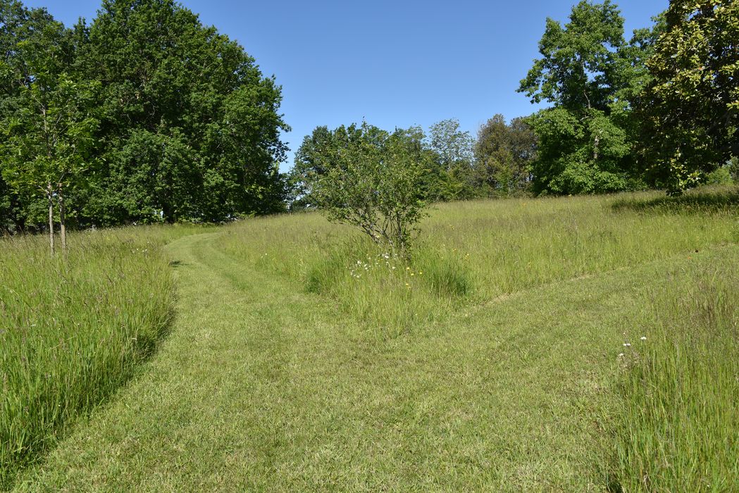 chemins à biodiversité