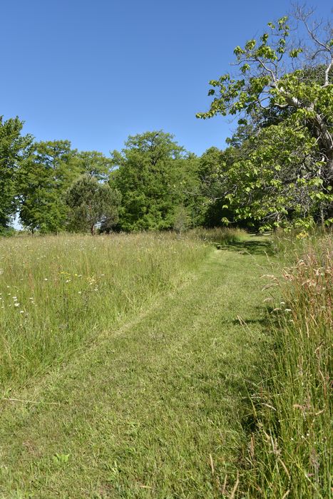 chemins à biodiversité