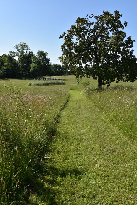 chemins à biodiversité
