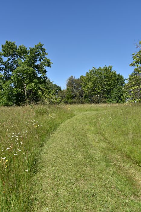 chemins à biodiversité