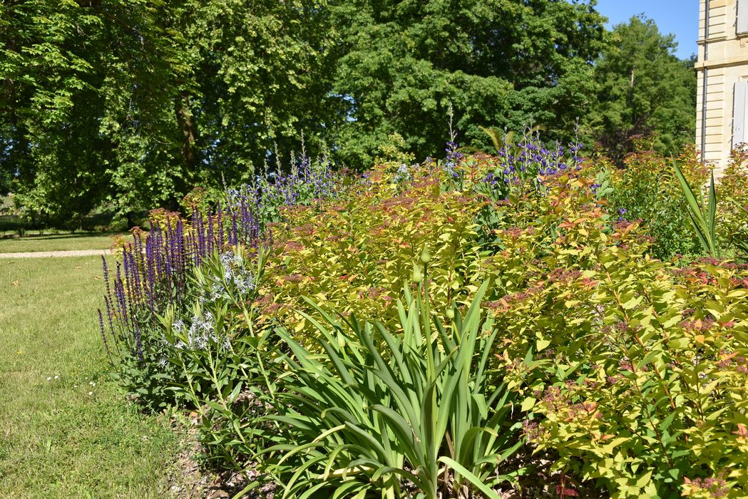 massif fleuri, détail