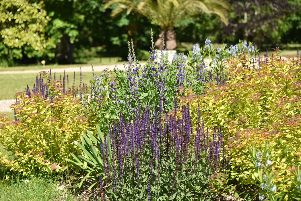 massif fleuri, détail