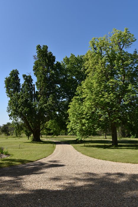 chemins bosquet