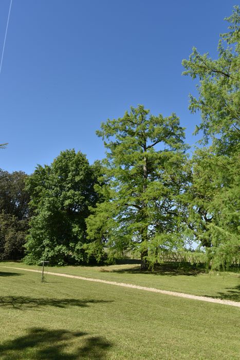 chemin bosquet