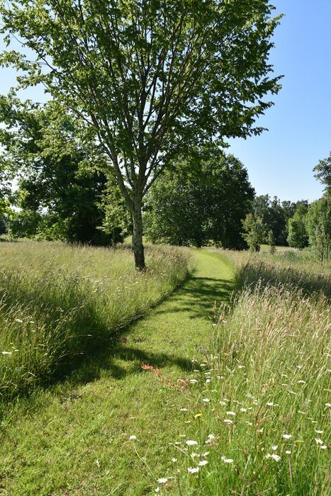 chemin massif fleuri