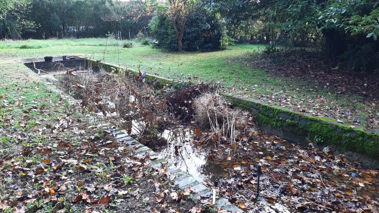 bassin dans le parc