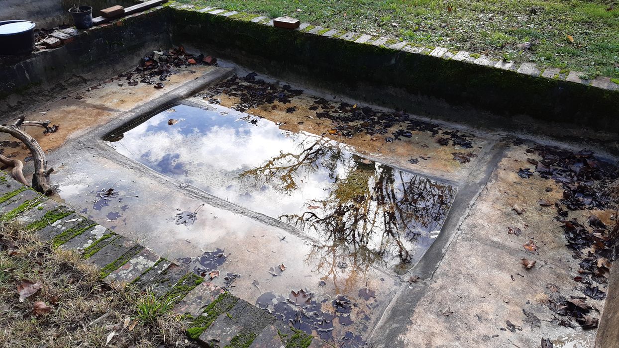 bassin dans le parc