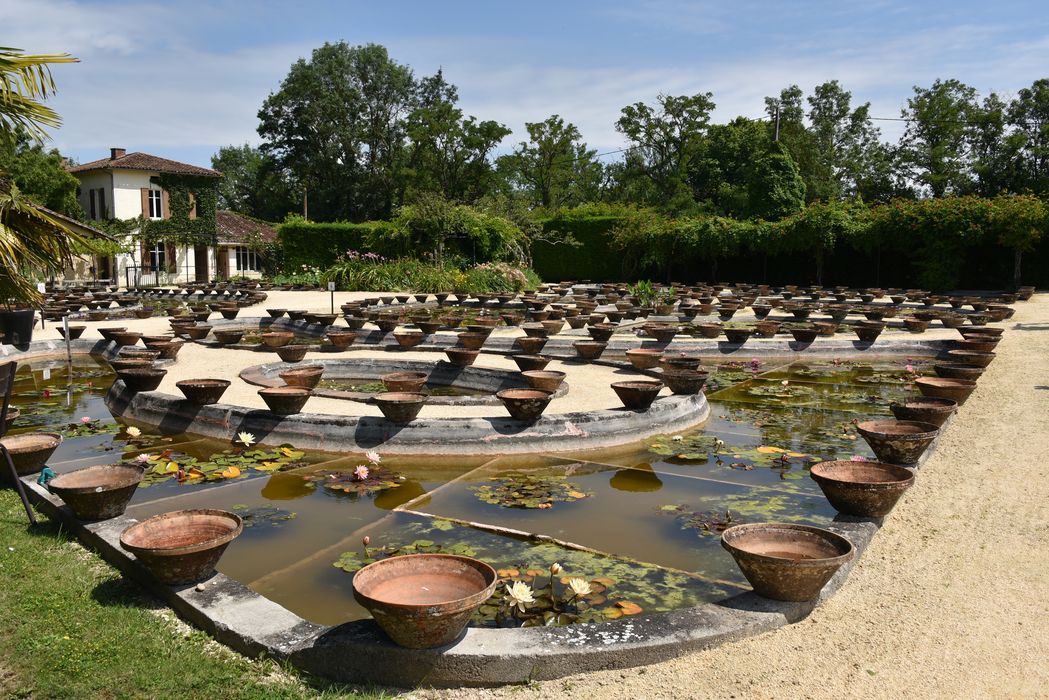 pépinière des nénuphars