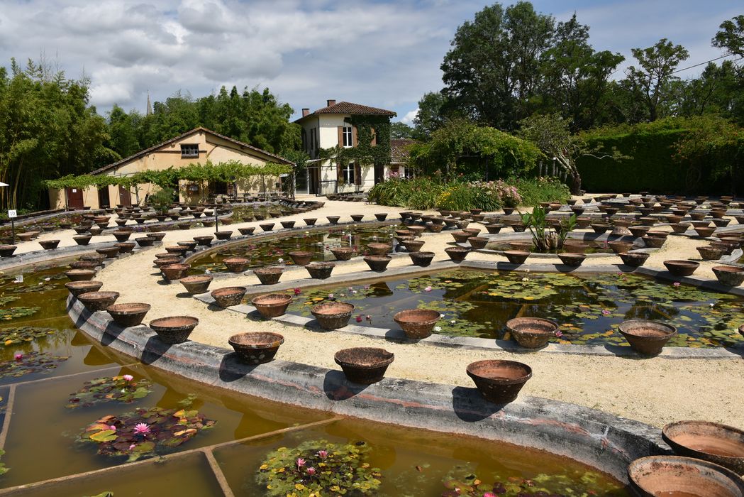 pépinière des nénuphars