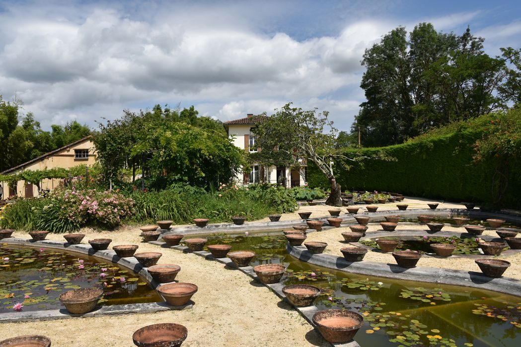 pépinière des nénuphars