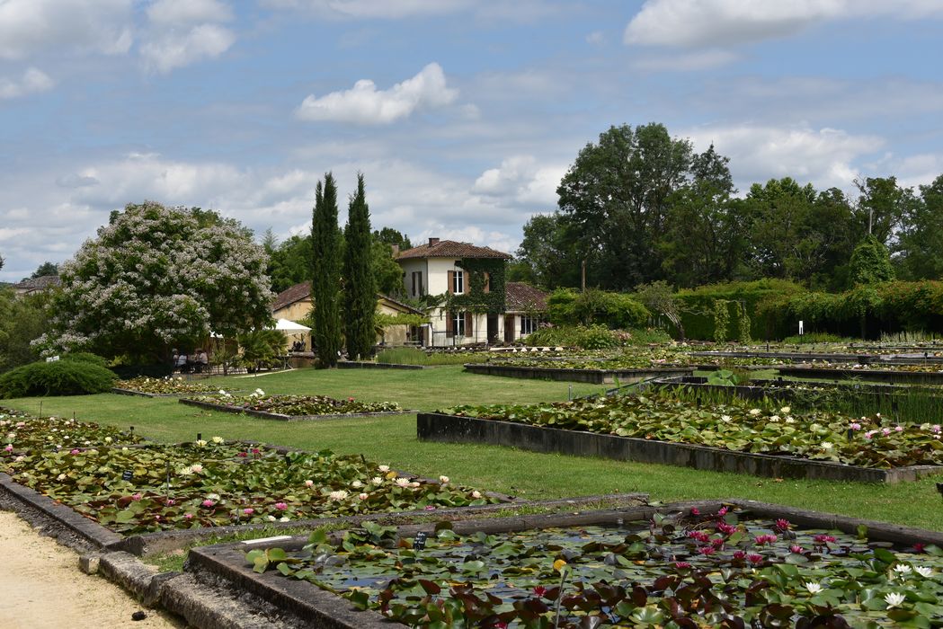 pépinière des nénuphars