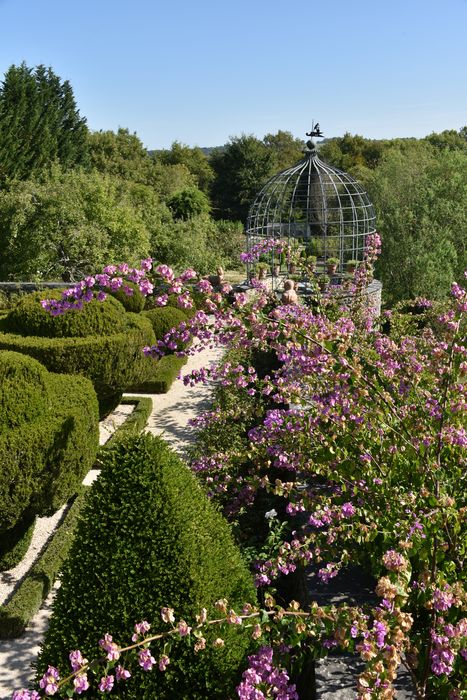 plantes, détail