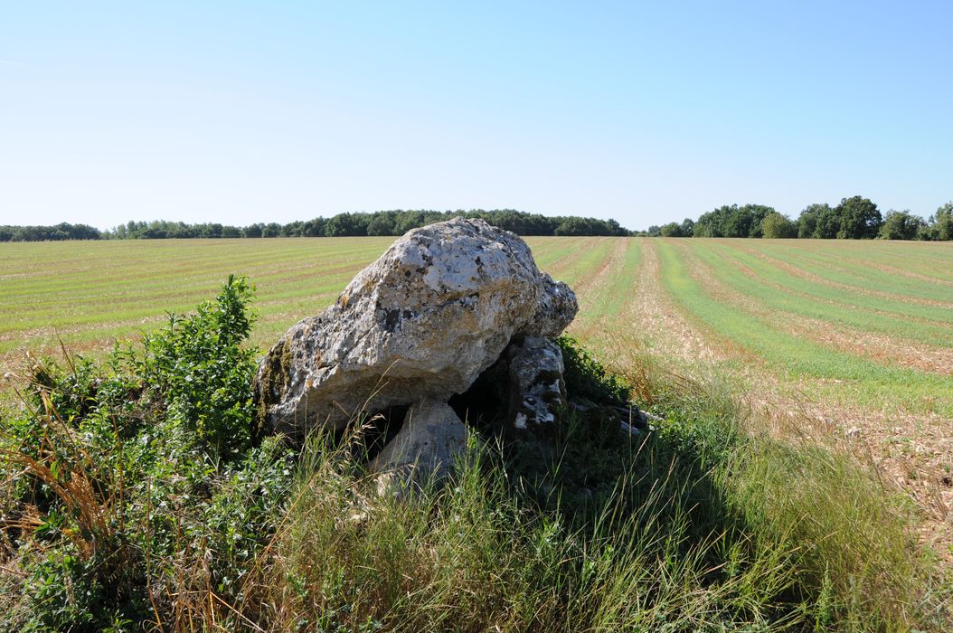 vue générale du dolmen