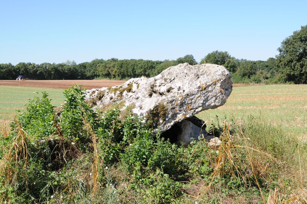 vue générale du dolmen