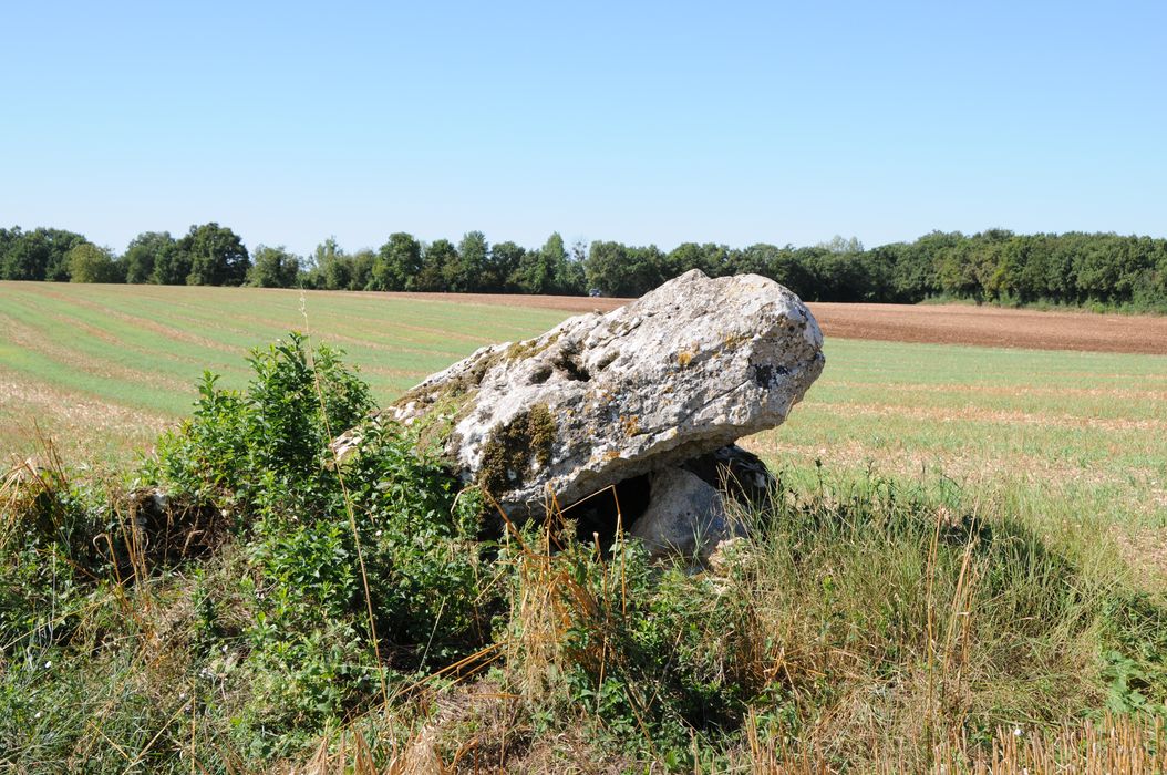 vue générale du dolmen