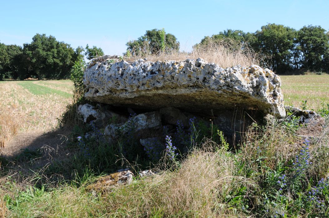 vue générale du dolmen