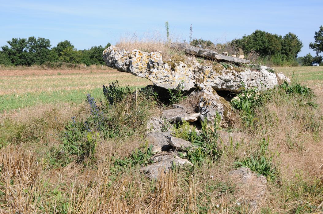 vue générale du dolmen