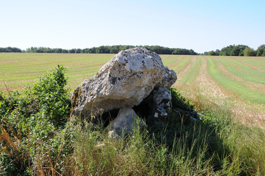 vue générale du dolmen
