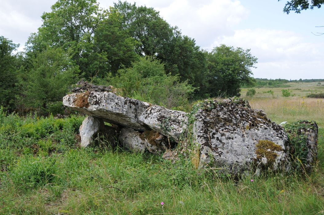 vue générale du dolmen