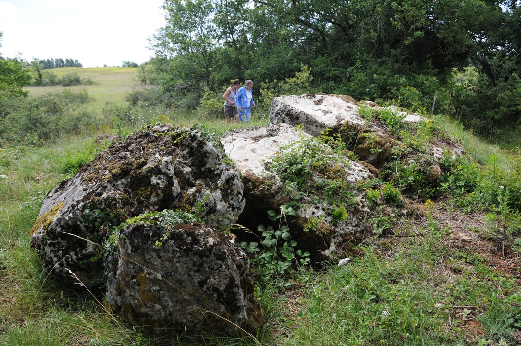 vue générale du dolmen