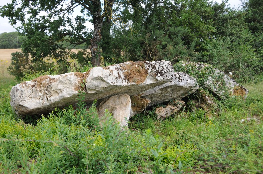 vue générale du dolmen