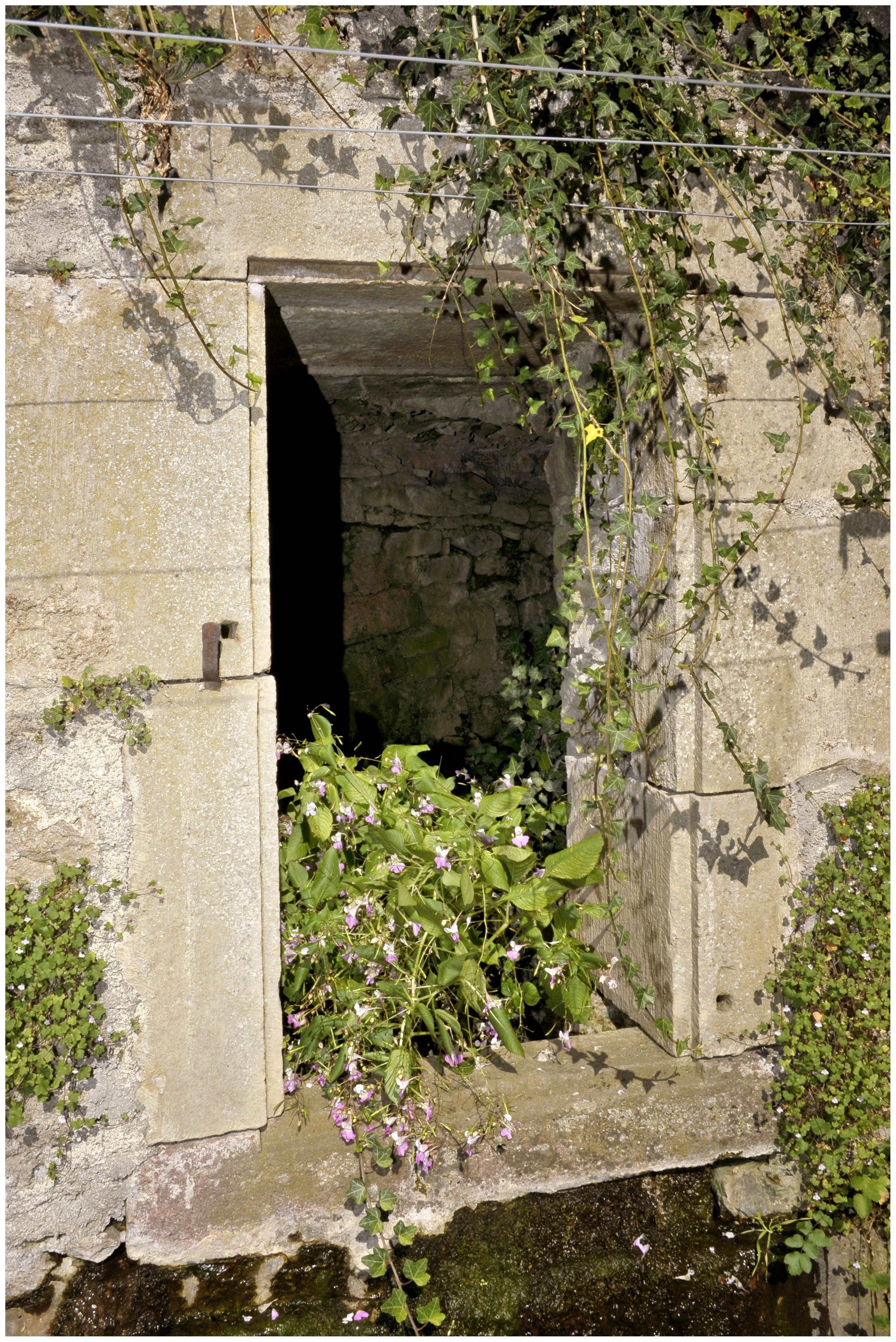 Abbaye bénédictine Saint-Sernin